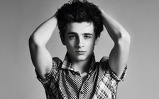 Mỹ nam Timothée Chalamet: Ngôi sao nổi lên từ phim độc lập