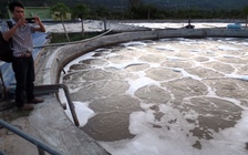 Dân đập phá 'trạm xử lý nước thải gây ô nhiễm'