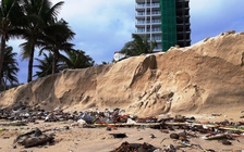 Mưa lịch sử tại Đà Nẵng: Biển xâm thực, hàng trăm mét bãi cát sạt lở