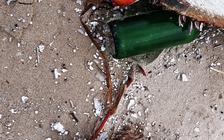 Rác mang chữ Trung Quốc 'ngập tràn' bãi biển đẹp nhất Đà Nẵng sau mưa lịch sử