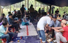 Bắt quả tang 37 người xóc đĩa trong rừng cao su, tạm giữ hơn 500 triệu đồng