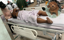 Phẫn nộ bọn cướp giật cả chó giữa thành phố, cụ ông té xe phải phẫu thuật