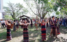 Đà Nẵng: Nâng cao mức hưởng thụ văn hóa tinh thần cho 3 đối tượng