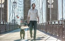 'John Wick 2': Cú hích hoành tráng tuổi 50 của Keanu Reeves