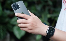 Giá một số iPhone tại Việt Nam đang rẻ nhất thế giới