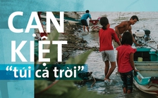 Cạn kiệt 'túi cá trời'