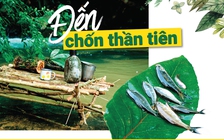 Đến chốn thần tiên ở Việt Nam