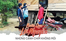 Bước qua lời nguyền: Những cánh chim không mỏi