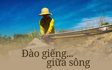 Khô hạn đỉnh điểm ở Quảng Nam: Đào giếng... giữa sông