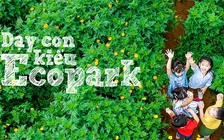 Dạy con kiểu Ecopark