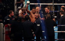 Joshua nhắm Fury để xưng 'vương' quyền anh