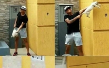 Tung video ngược đãi động vật, hai cầu thủ Venezuela bị CLB sa thải