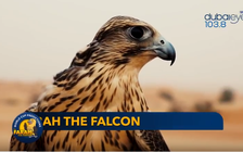 Tiên tri chim ưng dự đoán Colombia ‘tiễn’ Ba Lan về nước