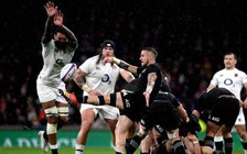 Bóng bầu dục thế giới sợ hãi trước số lượng cầu thủ qua đời tăng đột biến