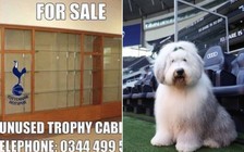 Tottenham ‘xử đẹp’ nhà tài trợ đề xuất đưa chó vào đá… hàng phòng ngự