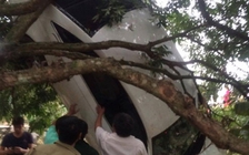 Tài xế ngủ gật, Audi mất lái “bay” thẳng lên ngọn cây