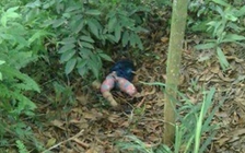 Thi thể bé 3 tuổi bị mẹ bỏ lại ở khu vực đồi vắng