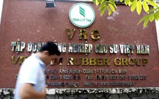 Khởi tố nguyên Chủ tịch HĐTV Tập đoàn cao su Việt Nam