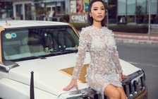 Quý cô thành thị