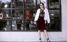 Quyến rũ giữa trời đông