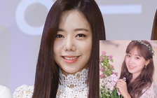 Apink đứng đầu danh sách tìm kiếm vì thảm họa 'dao kéo' của Namjoo