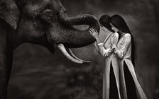 Như Vân, Trương Thị May sang Thái Lan chụp ảnh với voi