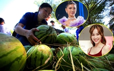 Lan Ngọc, Thúy Vân kêu gọi 'giải cứu' dưa hấu