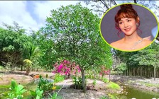 Minh Hằng khoe khu đất rộng 20.000m2 chỉ để nghỉ dưỡng