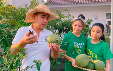 Quyền Linh đăng clip thu hoạch trái cây, nhan sắc con gái tiếp tục gây sốt