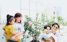 Vườn hồng trên sân thượng giá trăm triệu của Phan Hiển - Khánh Thi