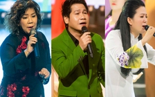 Đêm nhạc của Đinh Hiền Anh thu gần 35 tỉ đồng cứu trợ miền Trung