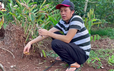 Hoài Linh hé lộ vườn trái cây rộng lớn ở Đồng Nai