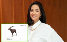 Hoa hậu H'Hen Niê kêu gọi bảo vệ động vật quý hiếm