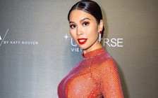 BTC Miss Universe Vietnam nói gì vụ bị cấm tổ chức 9 tháng vì Hà Anh mặc phản cảm?