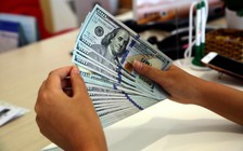 Giá USD ngân hàng tăng vọt lên 23.120 đồng