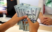 Giá USD tự do tăng giảm liên tục