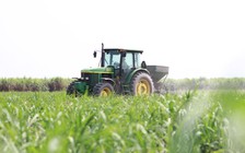 SBT dự kiến phát hành 2.400 trái phiếu chuyển đổi