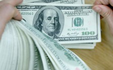Giá ngoại tệ ngày 6.3: USD giảm khi vàng tăng cao