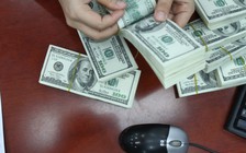 Giá USD hôm nay 7.11.2020: Tự do tiếp tục giảm