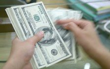 Giá USD hôm nay 27.11.2020: Tăng lại từ mức đáy