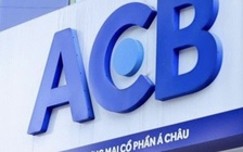 Bán cổ phiếu ACB thi hành án liên quan bầu “Kiên”