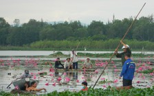 Phát hiện thi thể người đàn ông nổi trên sông Đầm