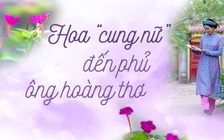Hoa cung nữ đến phủ ông hoàng thơ