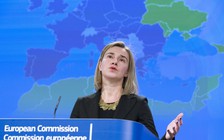 Các ngoại trưởng EU đề ra 5 nguyên tắc quan hệ với Nga