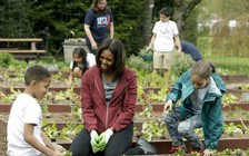 Đệ nhất phu nhân Michelle Obama lần cuối trồng rau ở Nhà Trắng