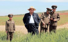 Nước suối bán ở Triều Tiên là thuốc trường sinh bất lão?