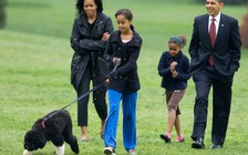 Thư viện và bảo tàng Obama sẽ được xây ở Chicago