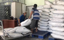 Phú Yên: Tạm giữ 34 tấn đường chưa có giấy tờ hợp lệ