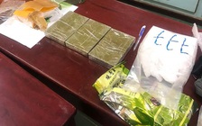 Bắt 2 nghi phạm vận chuyển 3 kg ma túy