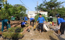 Sôi nổi các hoạt động 'Ngày thanh niên cùng hành động' tại An Giang, Đồng Tháp